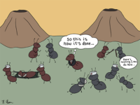 Cartoon depicting ants triaging wounded ants while a judge dictates how medical cases will be prioritized