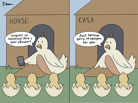 Cartoon depicting the House as a hen handing out passports to newly hatched chicks, while a comparison shows the hen not handing out passports to the chicks under the new CASA ruling