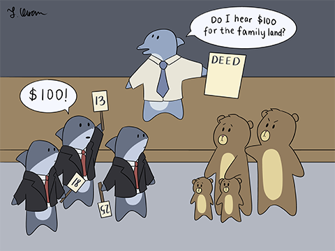 Cartoon depicting an auctioneer selling off family land for $100, with a family of bears looking on while sharks in suits bid on the land.