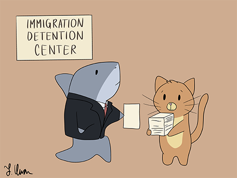 Cartoon depicting two figures in an immigration detention center -- a shark representing a lawyer piling papers in the hands of a cat, representing an immigrant